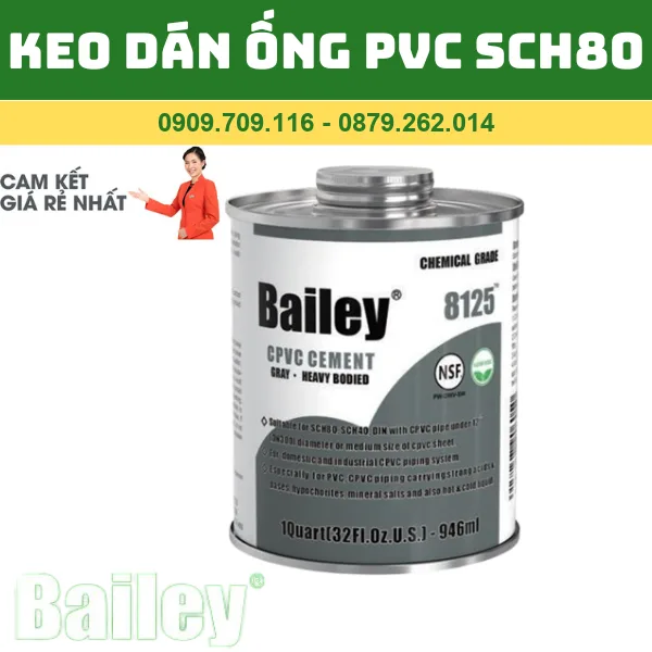 KEO DÁN ỐNG PVC SCH80 - 8125