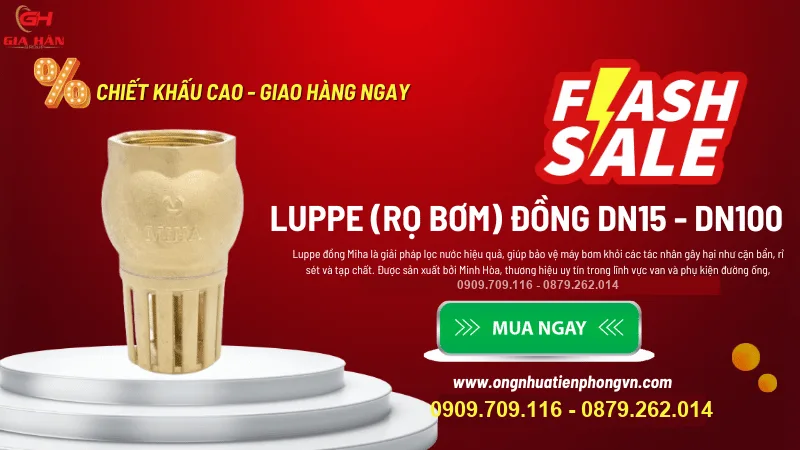 LUPPE (RỌ BƠM) ĐỒNG MIHA DN15-DN100