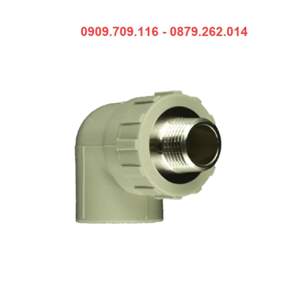 CO REN NGOÀI PPR TIỀN PHONG