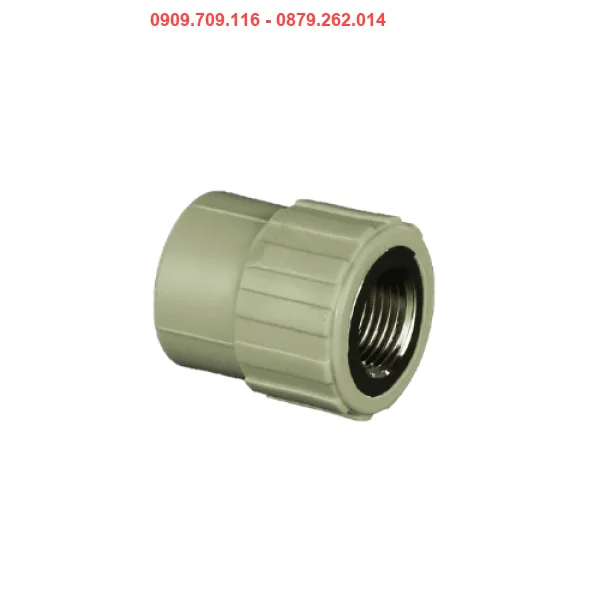 NỐI THẲNG REN TRONG PPR TIỀN PHONG