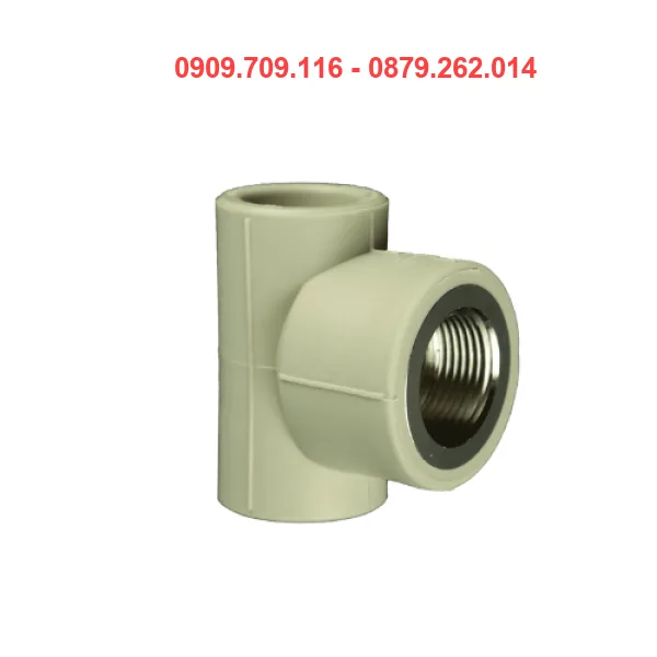 TÊ REN TRONG PPR TIỀN PHONG